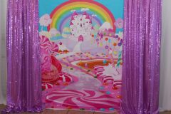 Party-Venues-in-Orlando-6
