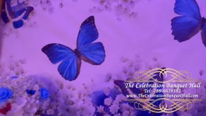 Butterfly Theme Quinceanera
